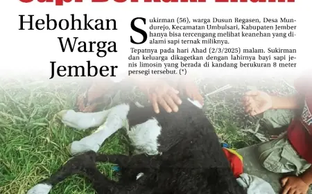 eKoran, Edisi Senin, 03 Maret 2025