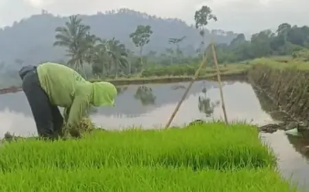 Harga Gabah Naik, Wali Kota Batu Janji Dekatkan Petani dengan Bulog