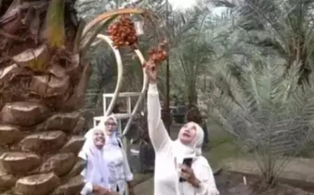 Nikmati Sensasi Petik Kurma dari Pohonnya, Tempat Ngabuburit Favorit di Nganjuk