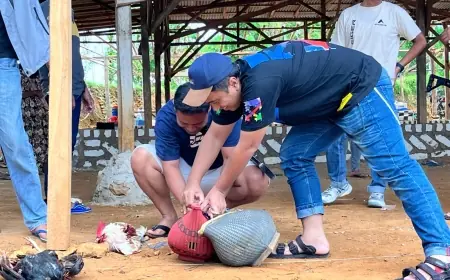 Gerebek Sabung Ayam di Sokobanah, Polres Sampang Dapati Arena Telah Sepi Pemain