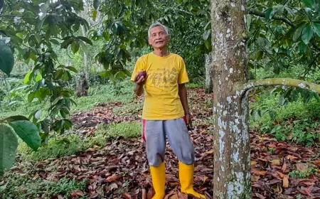 Upaya Hari Subandono dalam Melestarikan Warisan Hijau di Kabupaten Malang