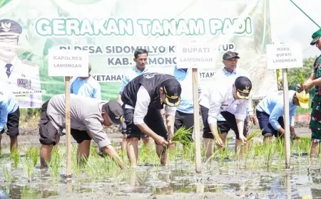 Pak Yes Komitmen Pertahankan Lamongan dengan Predikat Lumbung Pangan Nasional