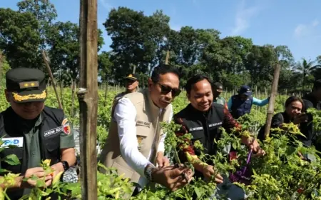 Tinjau Pertanian dan Peternakan, Wali Kota Malang Pastikan Stok Cabai dan Telur Aman
