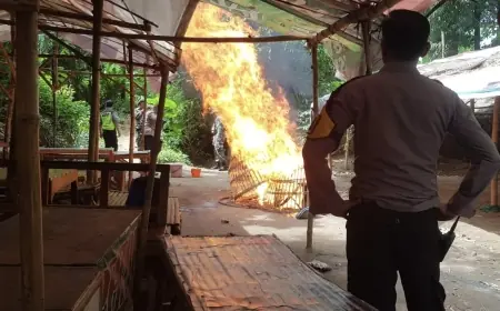 Gerebek Arena Sabung Ayam di Mojokerto, Polisi Gagal Tangkap Pelaku