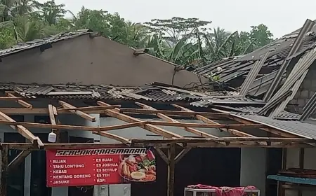 Cuaca Ekstrem di Kabupaten Malang, Angin Kencang dan Pohon Tumbang Terjang 5 Wilayah
