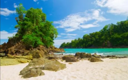 Pesona Teluk Hijau: Air Laut Berwarna Zamrud di Meru Betiri Banyuwangi