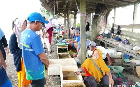 Pasar Ikan Air Tawar di Jember Jadi Buruan Pemudik Jelang Lebaran