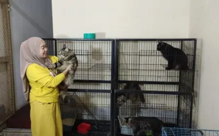 Mengintip Hotel Anabul di Probolinggo, Kebanjiran Berkah pada Libur Lebaran