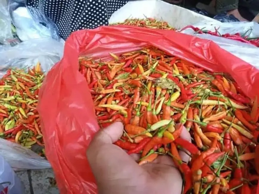 Harga Cabai Rawit Merah di Tuban Meroket, Tembus Rp120 Ribu per Kilogram