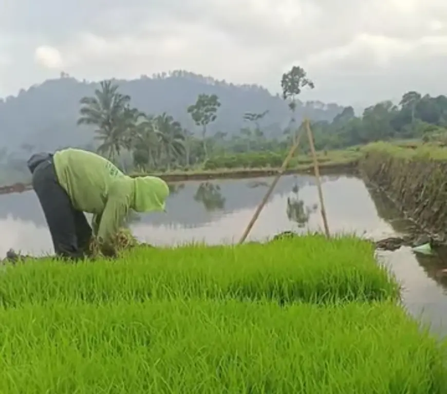 Harga Gabah Naik, Wali Kota Batu Janji Dekatkan Petani dengan Bulog