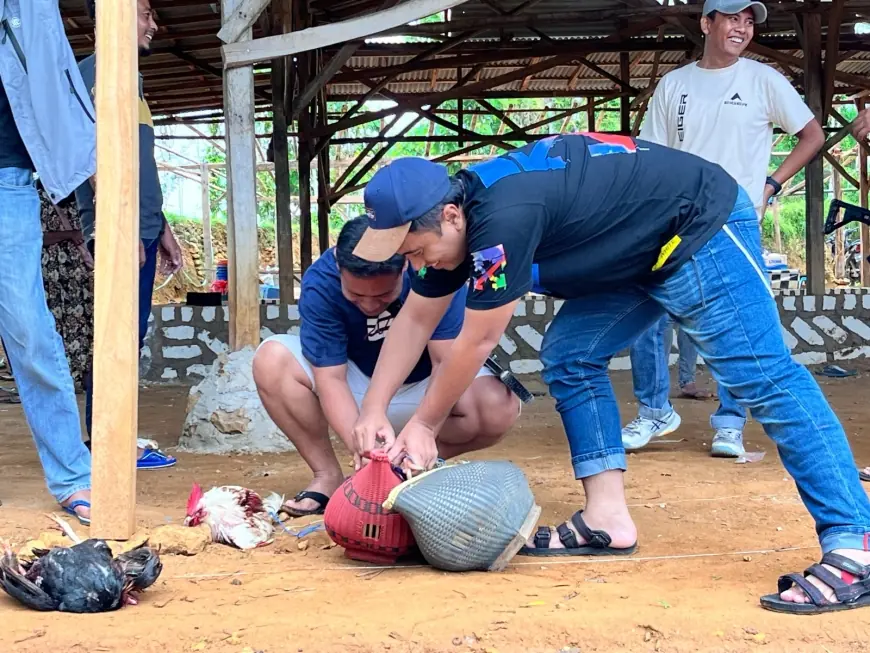 Gerebek Sabung Ayam di Sokobanah, Polres Sampang Dapati Arena Telah Sepi Pemain