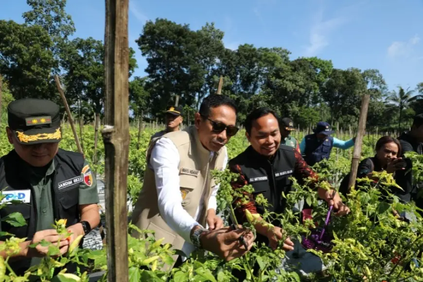 Tinjau Pertanian dan Peternakan, Wali Kota Malang Pastikan Stok Cabai dan Telur Aman