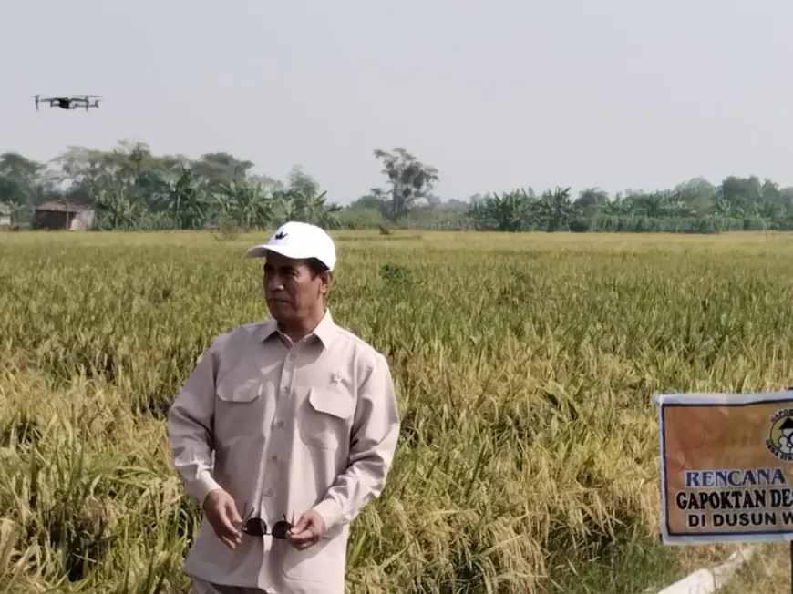 Tinjau Panen dan Serap Gabah di Gresik: Mentan Amran Sebut Harga Gabah Stabil di Rp 6.500 per Kg