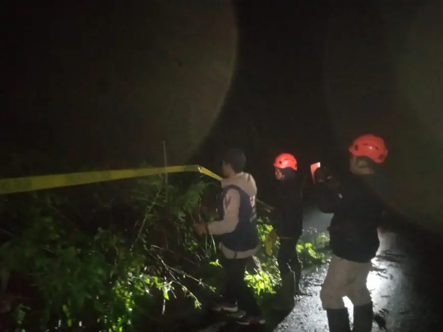 Tanah Longsor di Jalur TNBTS Desa Ngadas, Akses ke Bromo Terhambat