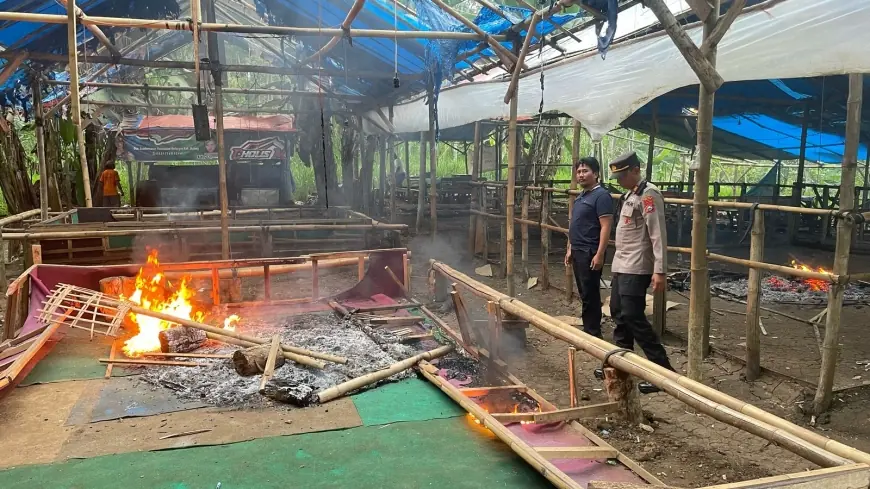 Polisi Bongkar Arena Sabung Ayam di Gedangan Malang, Sarana Judi Dimusnahkan di Lokasi