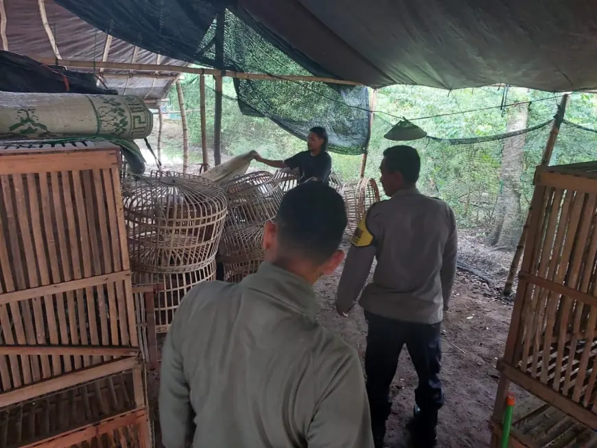 Gerebek Arena Sabung Ayam, Polres Nganjuk Pulang dengan Tangan Hampa