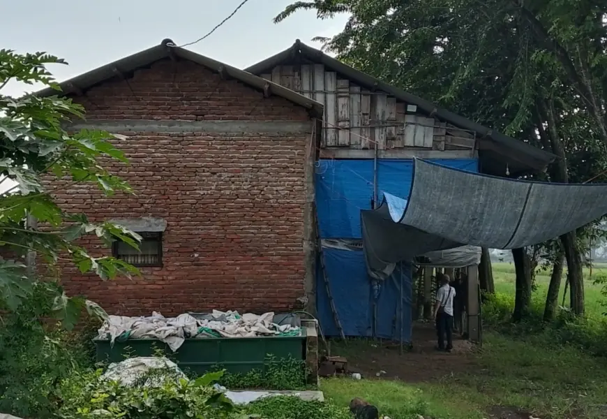 Warga di Jombang Keluhkan Aktivitas Kandang Ayam Pemicu Serbuan Lalat