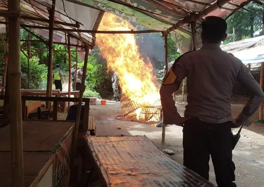 Gerebek Arena Sabung Ayam di Mojokerto, Polisi Gagal Tangkap Pelaku