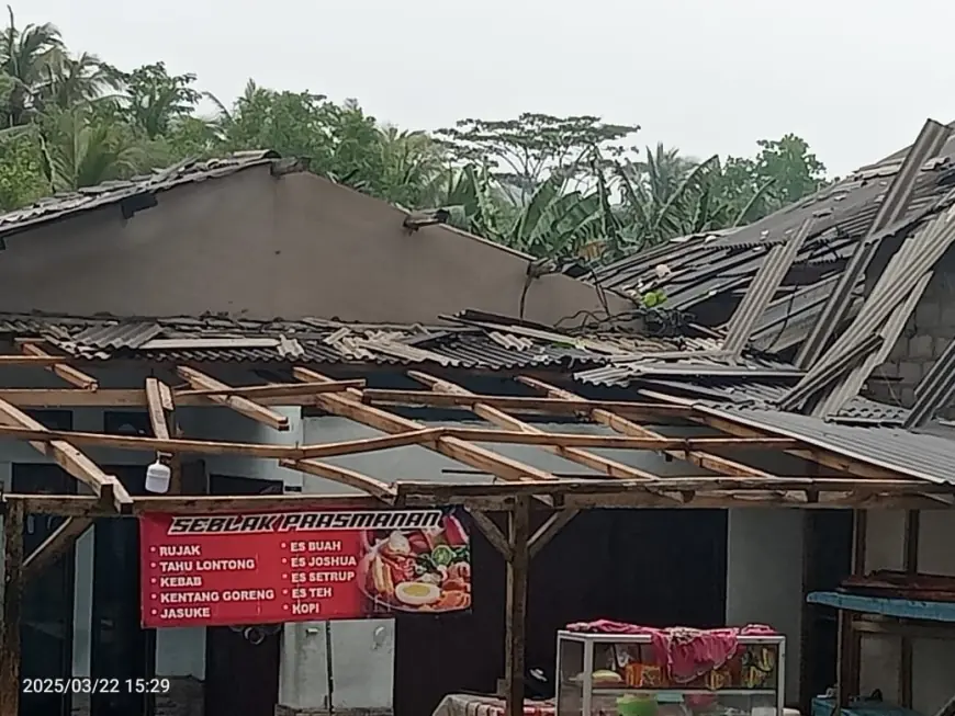 Cuaca Ekstrem di Kabupaten Malang, Angin Kencang dan Pohon Tumbang Terjang 5 Wilayah