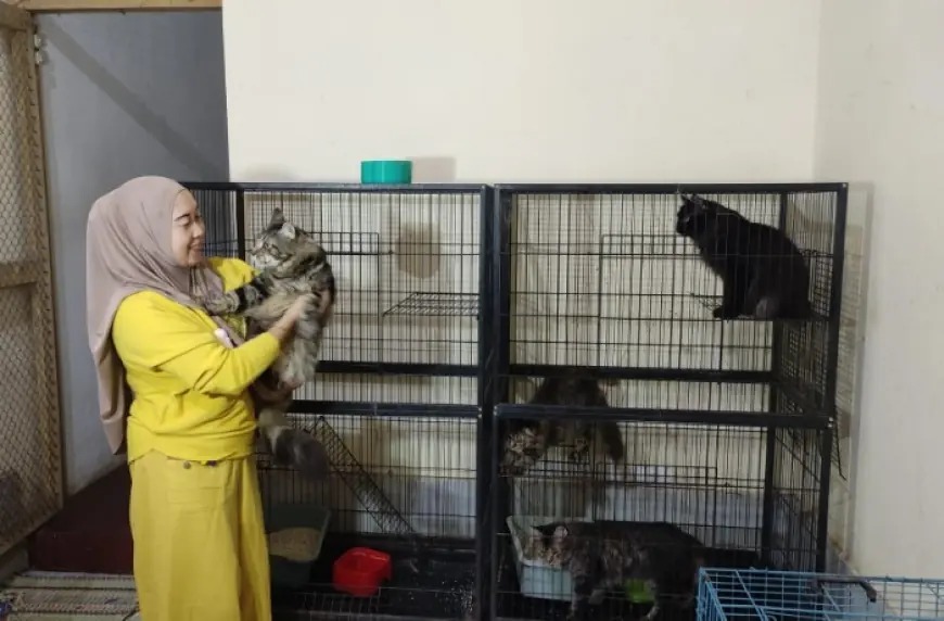 Mengintip Hotel Anabul di Probolinggo, Kebanjiran Berkah pada Libur Lebaran