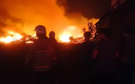 Kandang Ayam di Mojokerto Hangus Terbakar, 50 Ribu Ekor Jadi Arang
