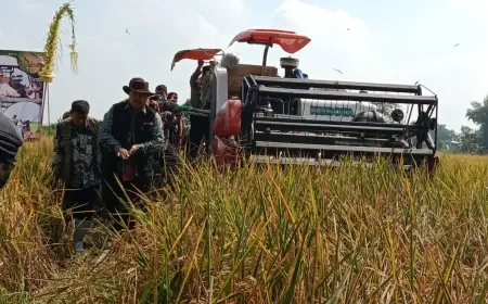 Ini Langkah Pemkab Jombang Wujudkan Produksi Beras 200 Ribu Ton di Tahun 2025