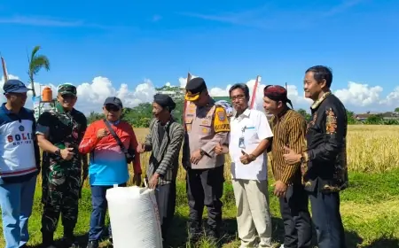 Bupati Blitar Ikuti Panen Raya Padi Serentak