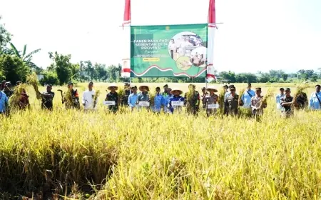 Wujudkan Swasembada Pangan, Bupati Bondowoso Panen Raya Padi Serentak di Desa Bataan