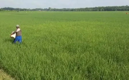 Daya Beli Petani Jatim Meningkat, NTP Maret 2025 Naik di Angka 111,61