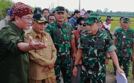Padi Varietas Unggul di Malang, Mampu Produksi 8,8 Ton per Hektare