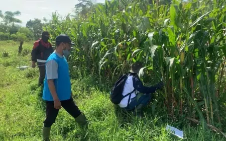 Pemkot Batu Serius Wujudkan Ketahanan Pangan Lewat Pemanfaatan 120 Hektare Lahan Tidur