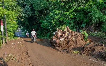 Tanah Longsor Tutup Jalan di Wajak Malang, Mobil Melintas Bergantian