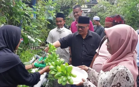 Belajar Ketahanan Pangan di Tengah Kota, Santri Bata-Bata Panen Pakcoy di Kampoeng Oase Ondomohen