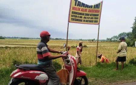 Merasa Haknya Diambil, Warga Jember Tanam Pohon Sengon di Tanah Sengketa