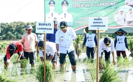 Wujudkan Swasembada Pangan, Petani Lamongan Genjot Tanam Padi Serentak