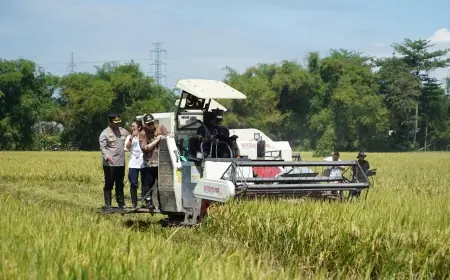 Bantu Petani Stabilkan Harga Beras, Mas Dhito Bangun Kerja Sama dengan Pemprov DKI Jakarta