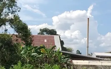 Bau Busuk Pabrik Tembakau di Bojonegoro Kembali Dikeluhkan Warga