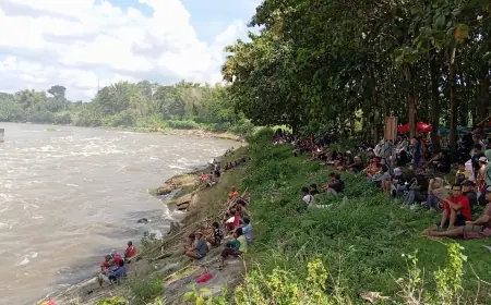 Flushing Dua Bendungan di Blitar, Warga Ramai-Ramai Berburu Ikan Mabuk