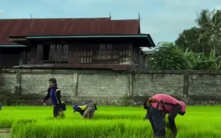 Produk Pangan Segar Kota Batu Masih Dihantui Residu Pestisida dan Logam Berat