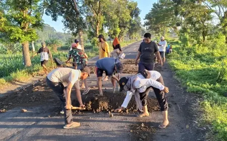 Lelah Tunggu Gerak Pemkab, Warga Jember Swadaya Perbaiki Jalan Kencong-Tanggul