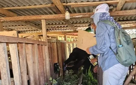 Jelang Iduladha, Pemkab Probolinggo Gencarkan Vaksinasi Sejumlah Hewan Ternak
