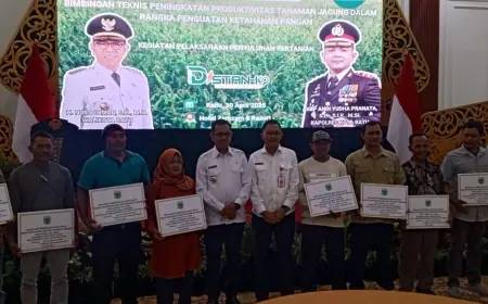Tanam Jagung di 120 Hektare Lahan Tidur, Distan-KP Kota Batu Targetkan Panen Raya Juli 2025