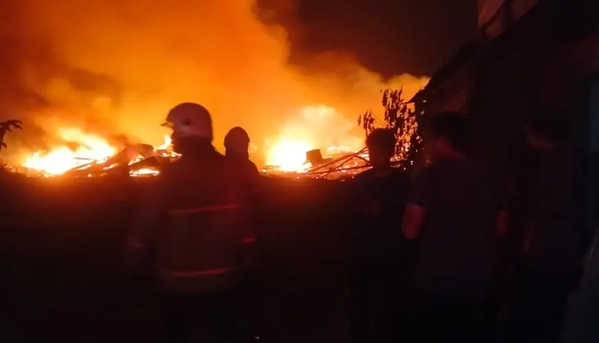 Kandang Ayam di Mojokerto Hangus Terbakar, 50 Ribu Ekor Jadi Arang