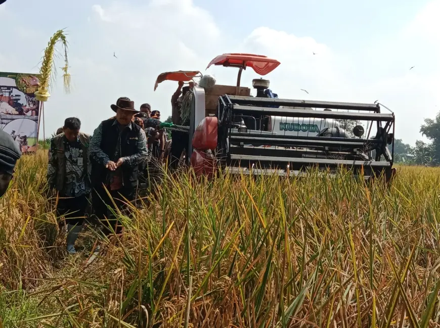 Ini Langkah Pemkab Jombang Wujudkan Produksi Beras 200 Ribu Ton di Tahun 2025