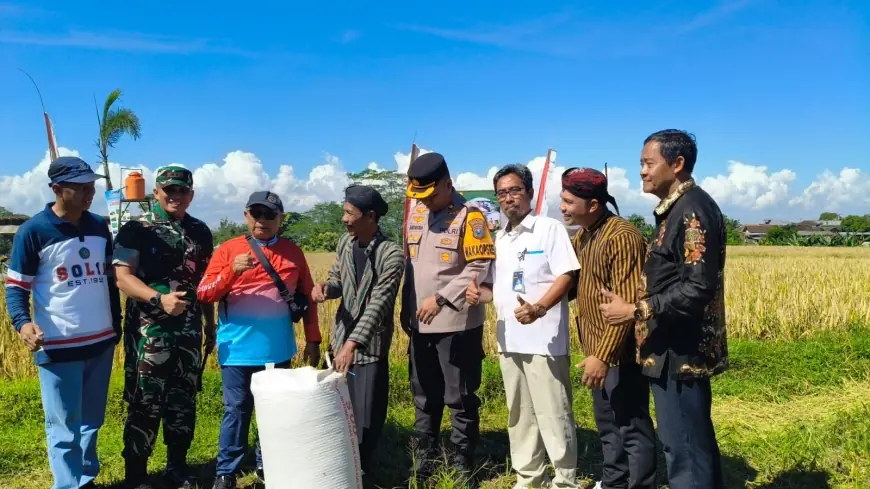 Bupati Blitar Ikuti Panen Raya Padi Serentak