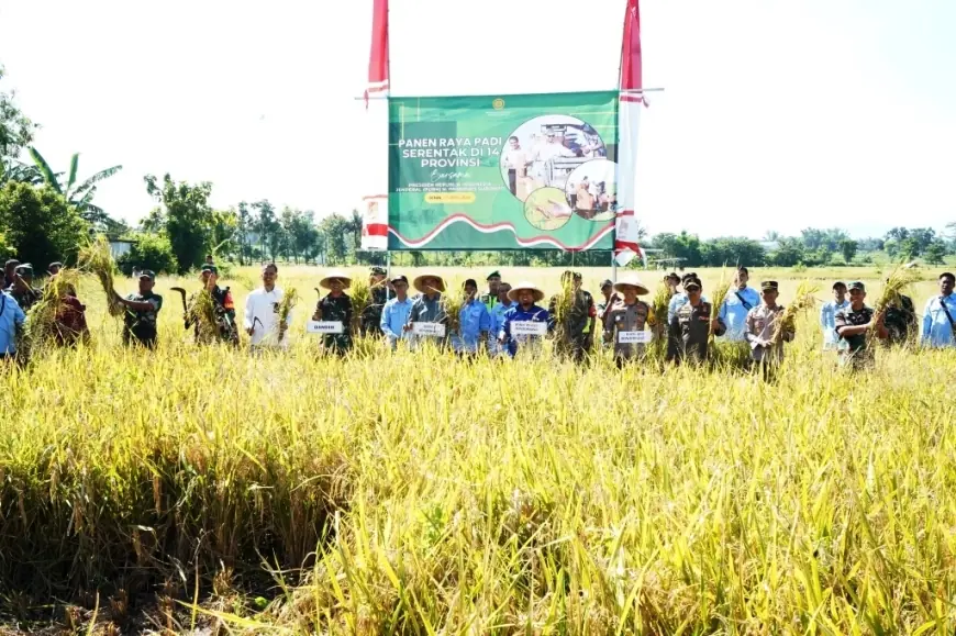 Wujudkan Swasembada Pangan, Bupati Bondowoso Panen Raya Padi Serentak di Desa Bataan