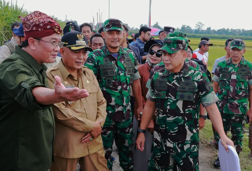 Padi Varietas Unggul di Malang, Mampu Produksi 8,8 Ton per Hektare
