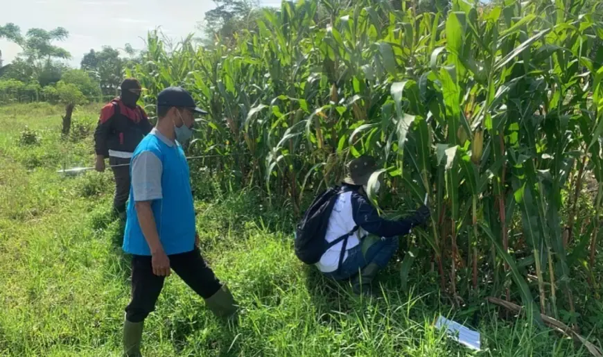 Pemkot Batu Serius Wujudkan Ketahanan Pangan Lewat Pemanfaatan 120 Hektare Lahan Tidur
