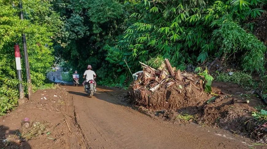 Tanah Longsor Tutup Jalan di Wajak Malang, Mobil Melintas Bergantian