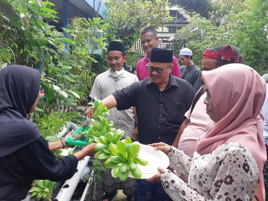 Belajar Ketahanan Pangan di Tengah Kota, Santri Bata-Bata Panen Pakcoy di Kampoeng Oase Ondomohen